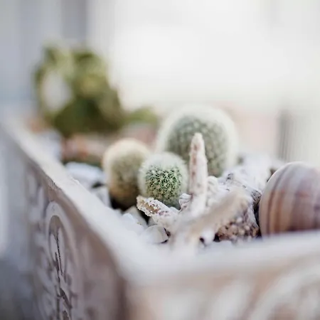 La Casetta Di Gio' Porto Recanati