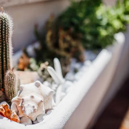 La Casetta Di Gio' Apartment